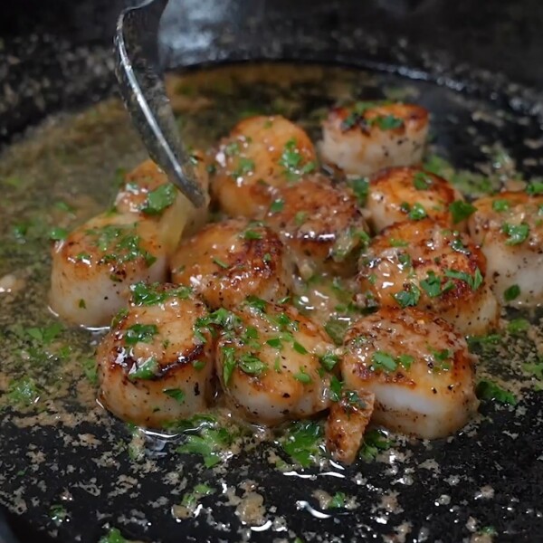 Scallops
